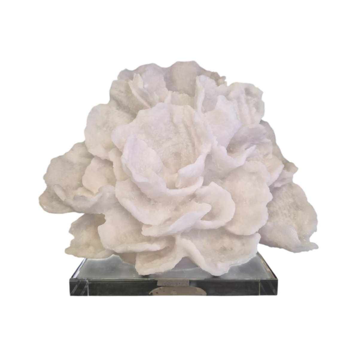 Escultura Decorativa Coral Marble Branca