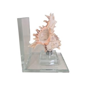 Aparador De Livro Base em Vidro Concha Coral