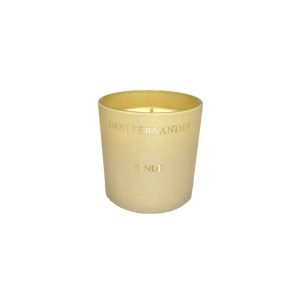 Vela Perfumada Aroma Tênue 170g Dani Fernandes
